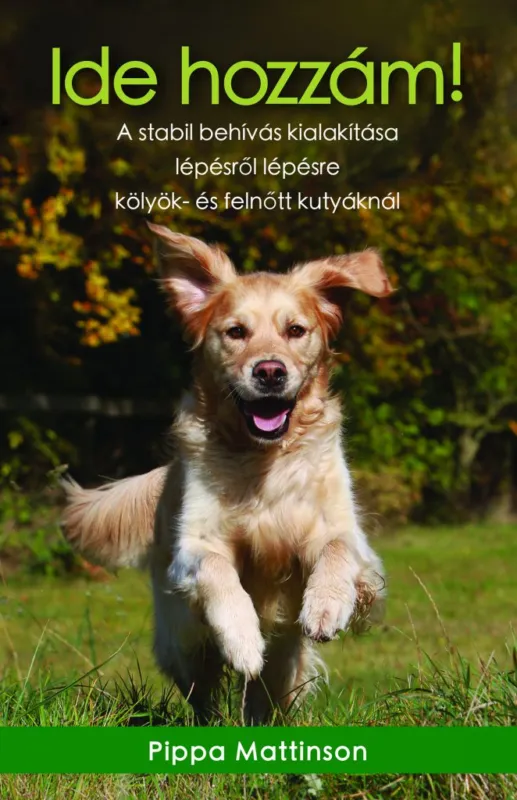 Gyors kiszállítás Ide hozzám! - A stabil behívás kialakítása lépésről lépésre kölyök- és felnőtt kutyáknál