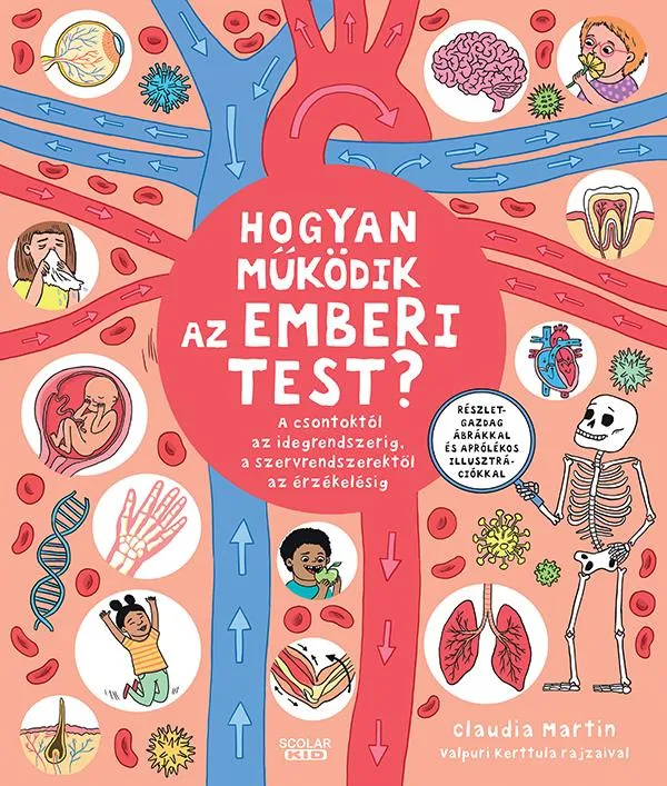 Biztonságos vásárlás Hogyan működik az emberi test? - A csontoktól az idegrendszerig, a szervrendszerektől az érzékelésig