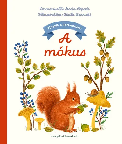 Olcsó A mókus