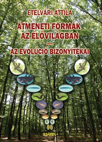 Biztonságos fizetés Átmeneti formák az élővilágban - Az evolúció bizonyítékai